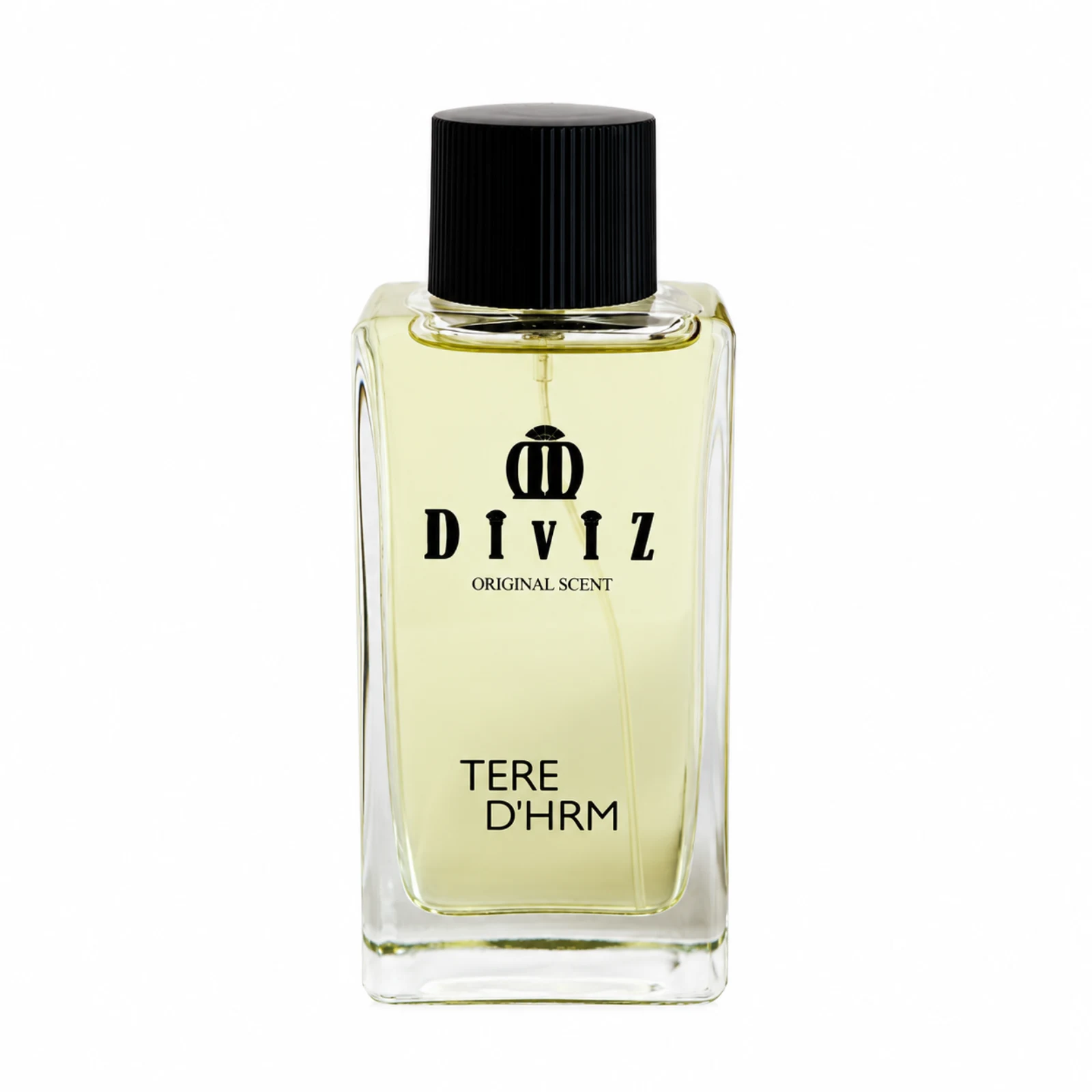 ادکلن تق د هرمس مردانه Hermes Terre d'Hermes for Men حجم 100 میل